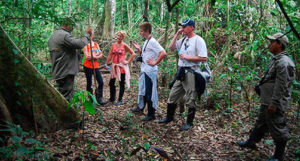 Groups Tours in the Amazon