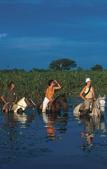 amazon river tour