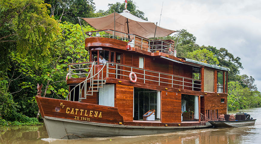 amazon cruise ship