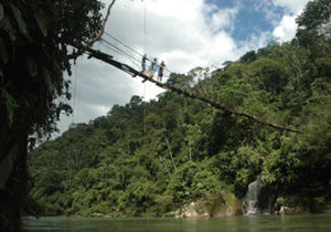 Ecuador Amazon Tour
