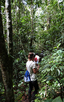 amazon ecuador tour