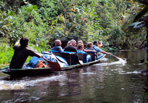 small boat amazon river cruises