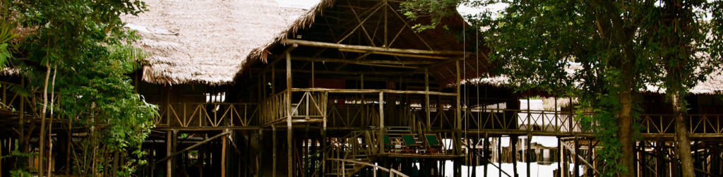 Amazon lodge