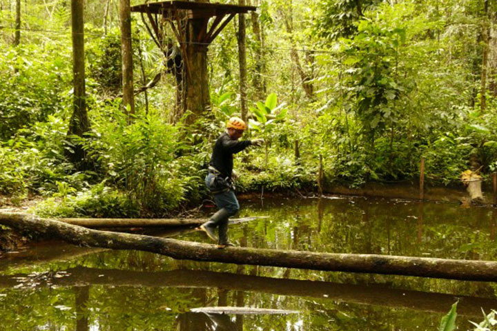 Amazon rainforest tour