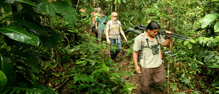 Amazon jungle tour