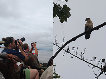 aqua amazon cruise peru