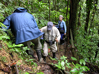 amazon rainforest tour