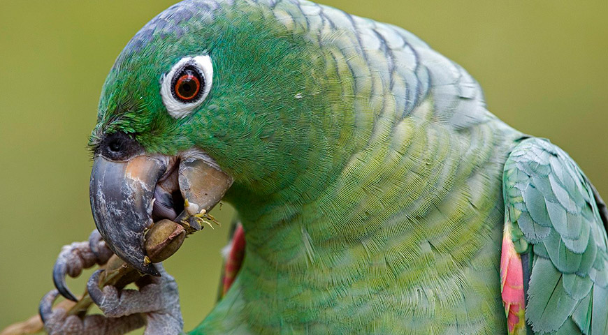 Amazon rainforest tour