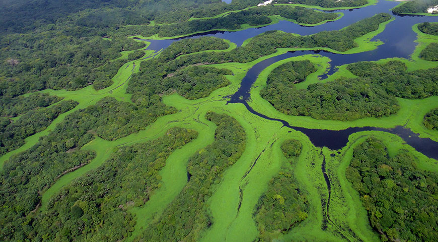 Brazil Amazon cruise