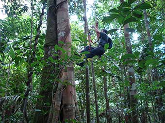 amazon rainforest brazil tour