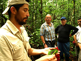 amazon rainforest tour