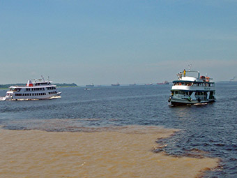 amazon river cruises brazil
