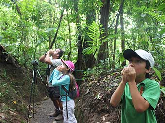 amazon rainforest brazil tour