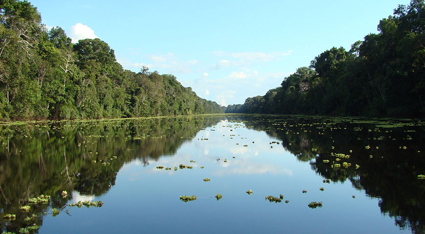 amazon river tour