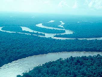 Amazon river cruises