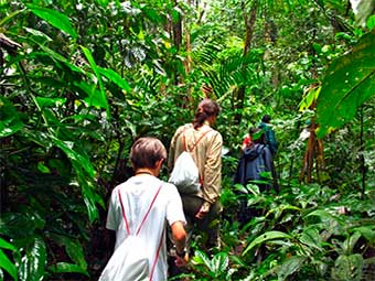 amazon rainforest brazil tour
