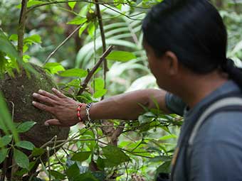 amazon rainforest tour