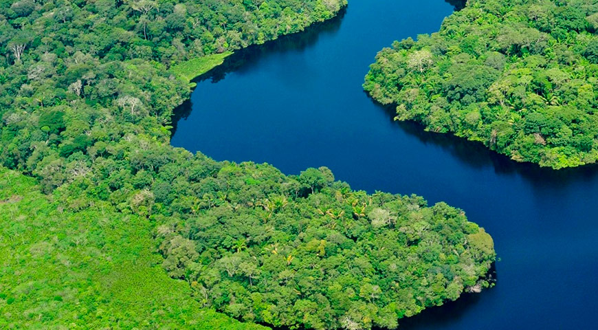 Amazon river cruises