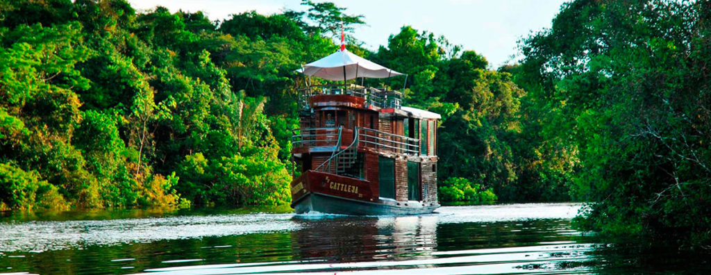 Amazon rainforest tour