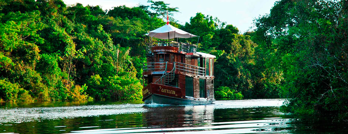 Amazon rainforest tour