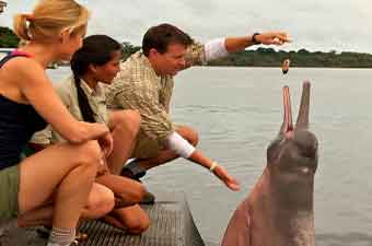 delfin cruises amazon river