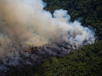 amazon rainforest tour