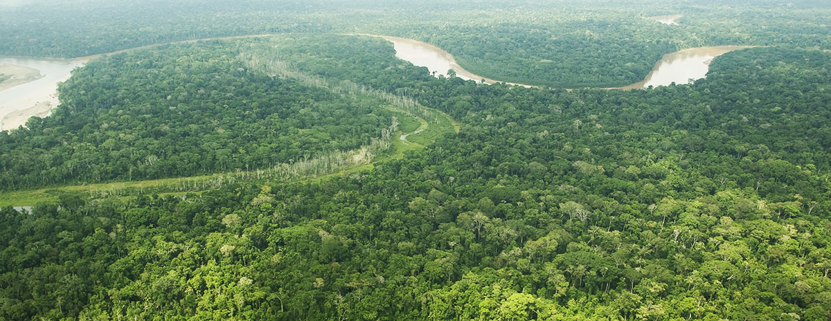 Peru Amazon