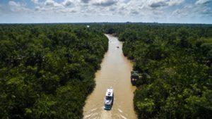 peru amazon vs. brazil amazon