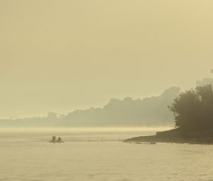 Amazon Rainforest in the morning