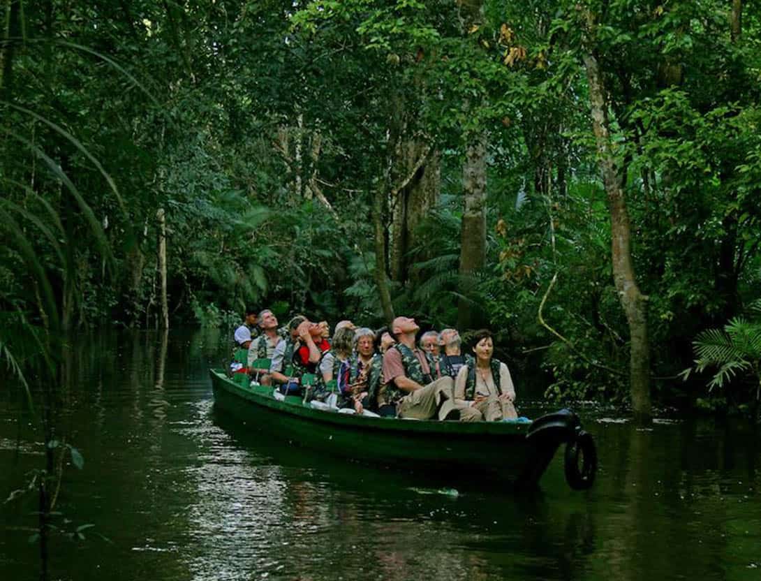 Brazil Amazon Rainforest