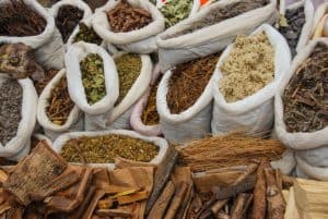 Important medicinal plants in the Amazon