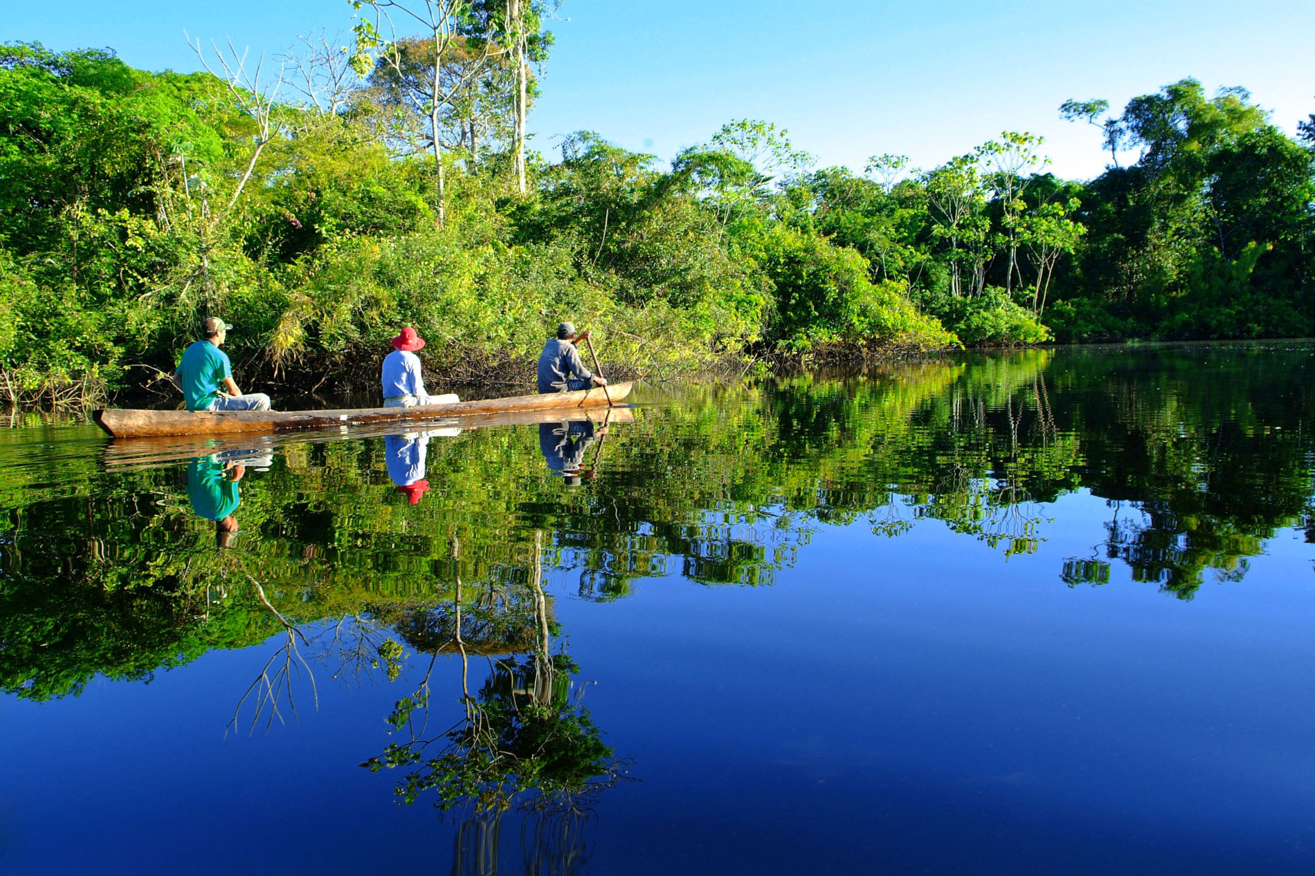 upper amazon cruise