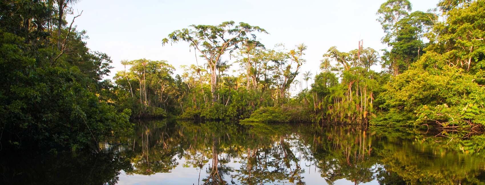 Amazon National Parks