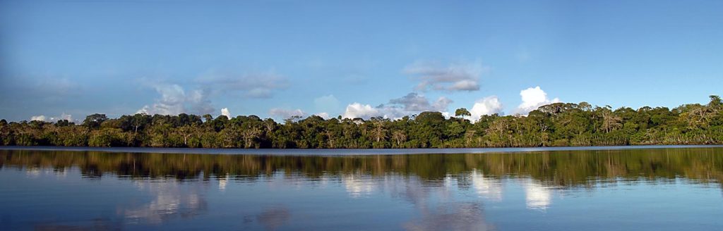 Amazon Rainforest Weather