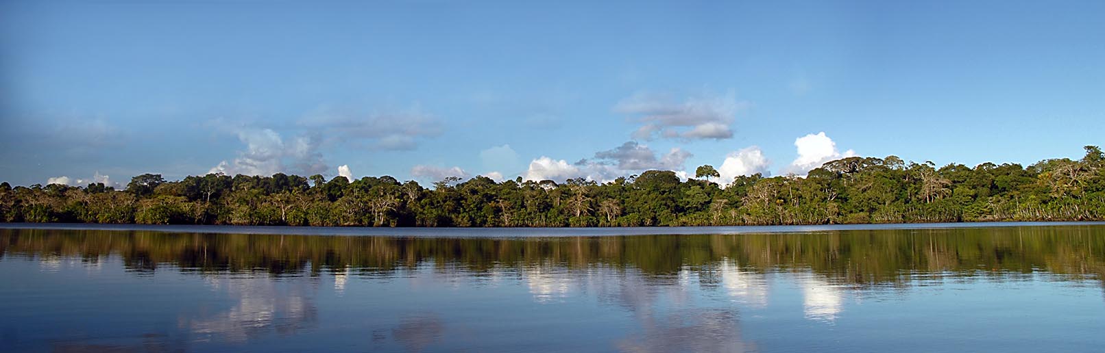 Amazon Rainforest Weather