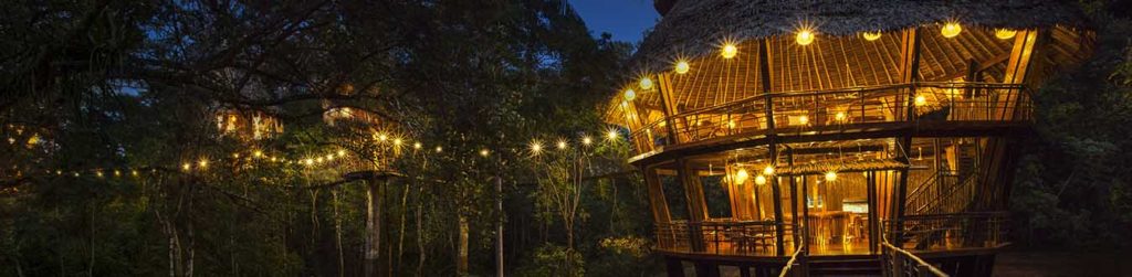 Tree house lodge 1