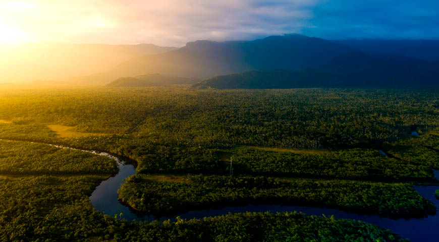 Brazil | Amazon Rainforest