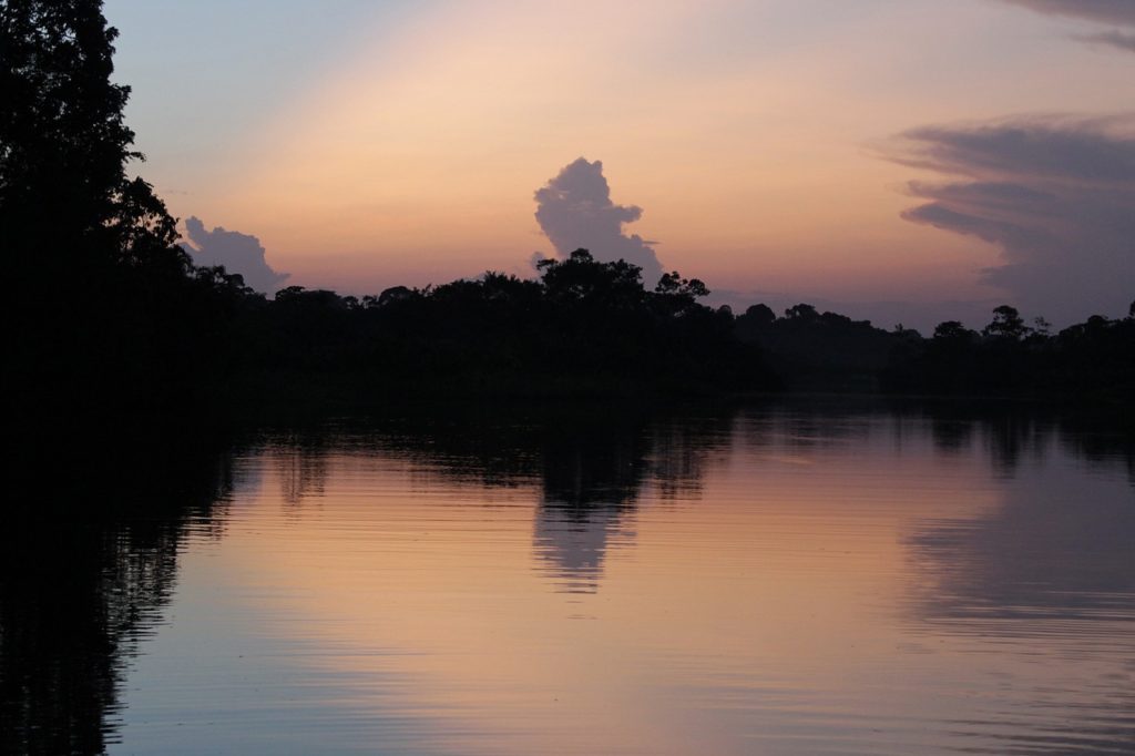 Amazon Ecuador