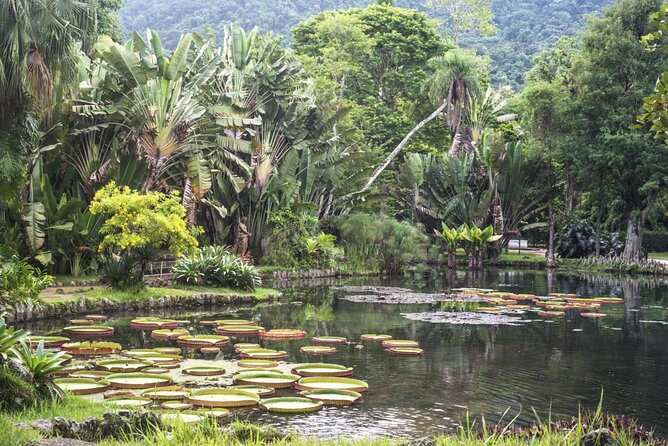 Janauari Lake Ecological Park 