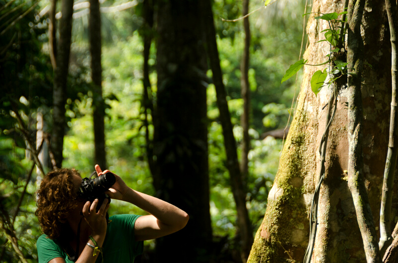 Amazon Hiking & Cruising Adventure