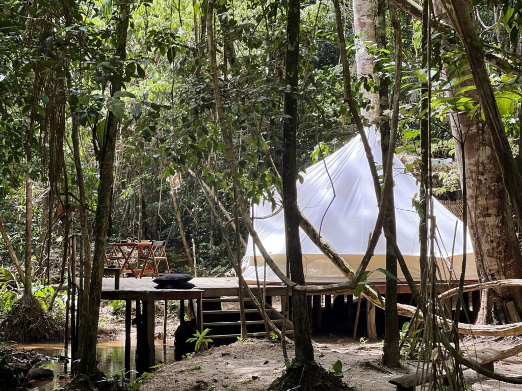 Glamp Amazon