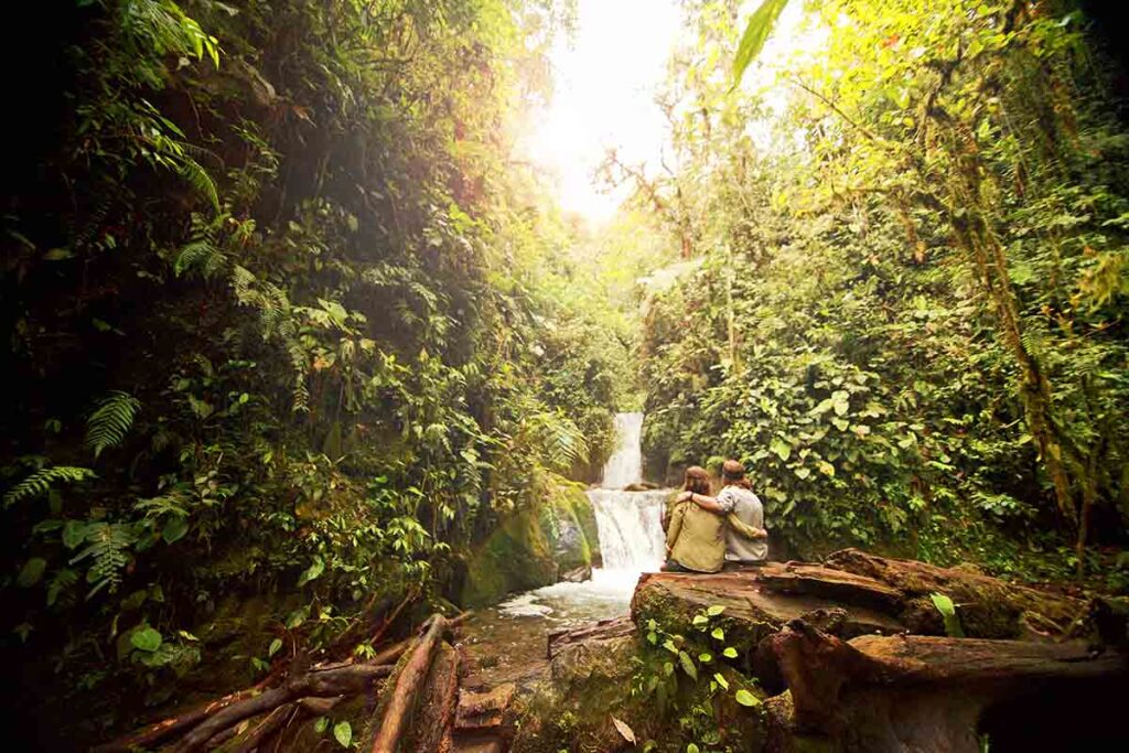 couple in the Amazon