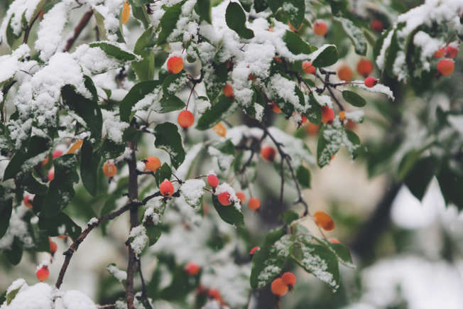 Yakutsk, Russia – The Coldest City on Earth