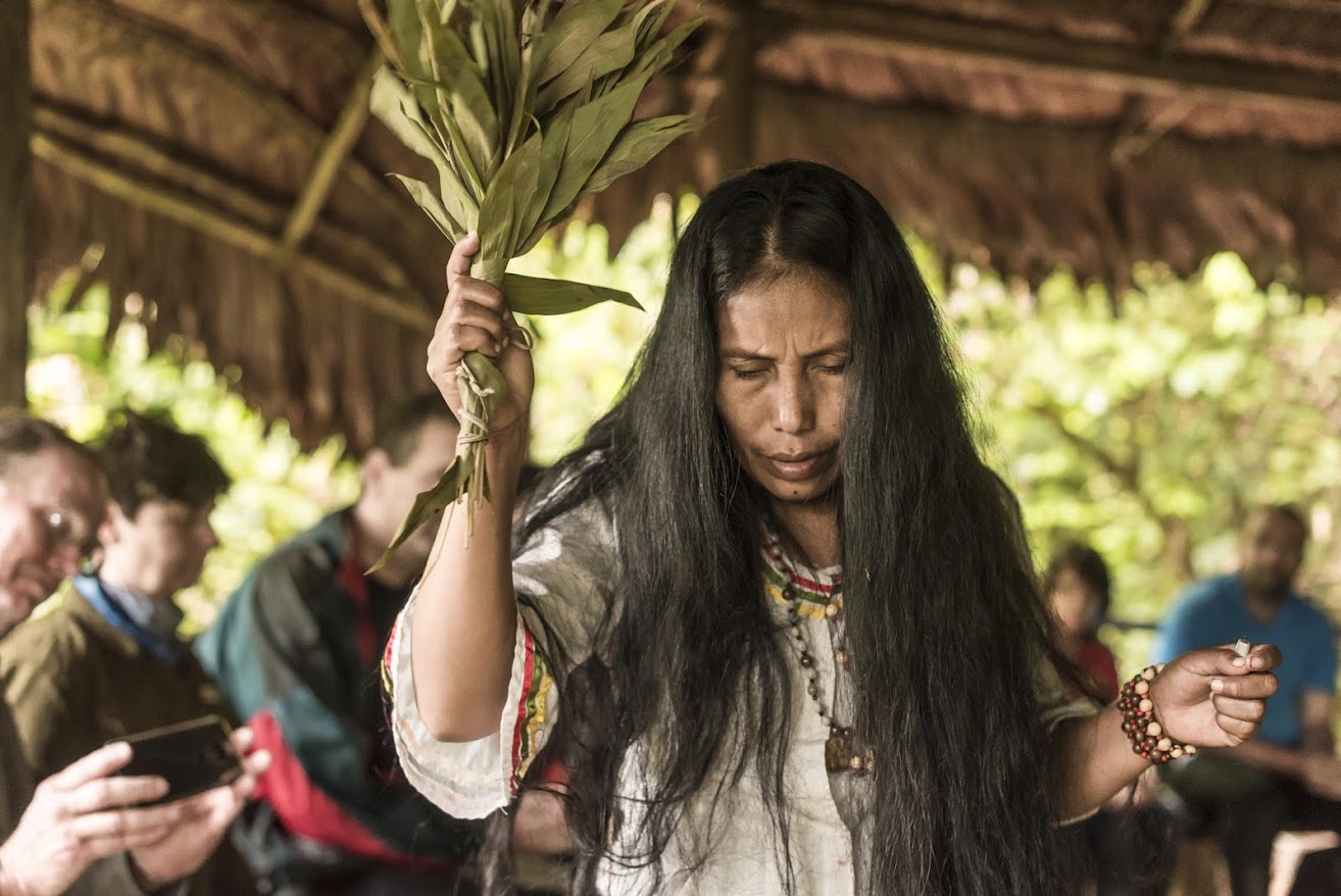 Amatista: A Complete Amazon Experience 7 Days