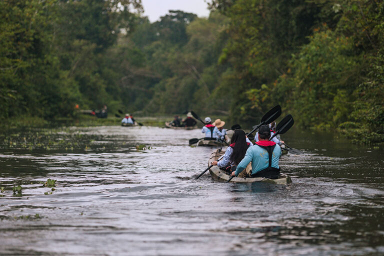 Amazon - Kayaking