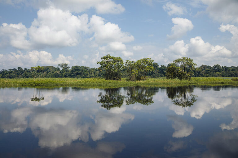 Amazon - Landscapesjpg