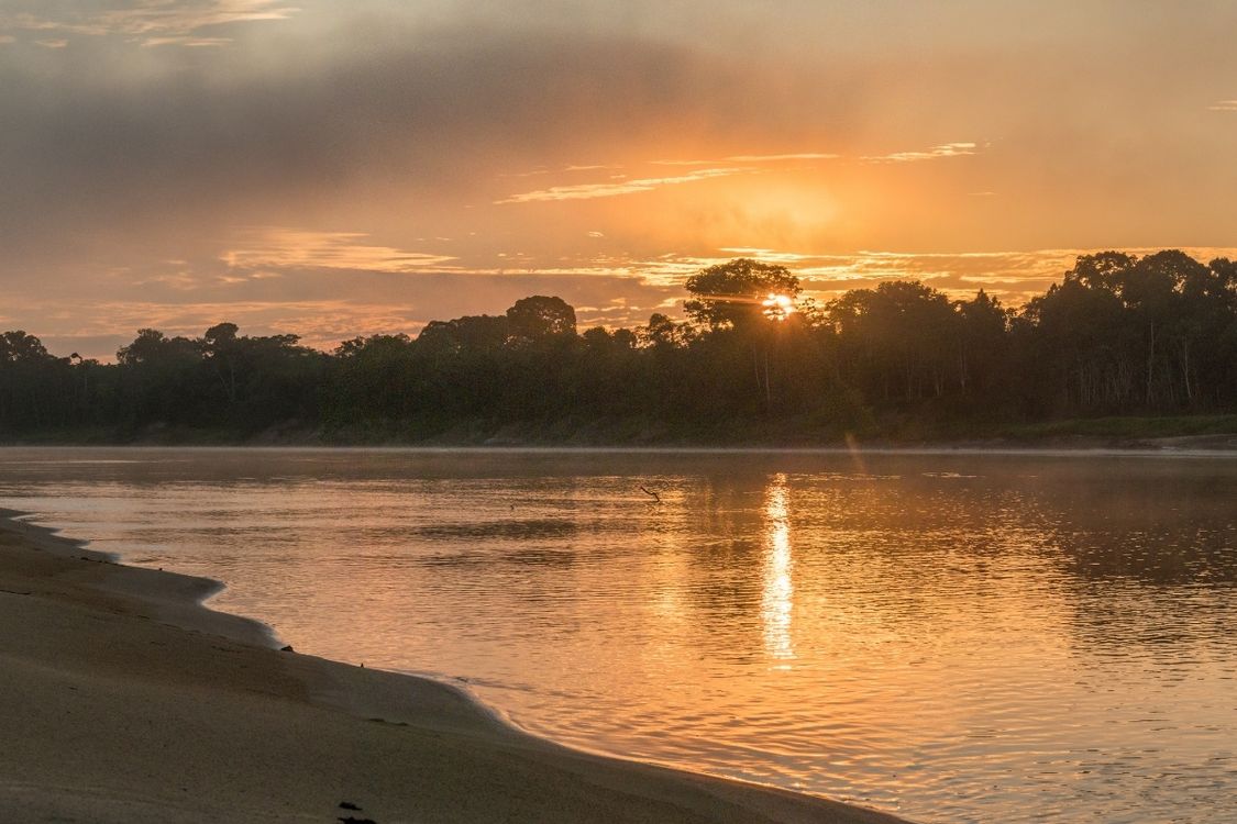 Amazon River