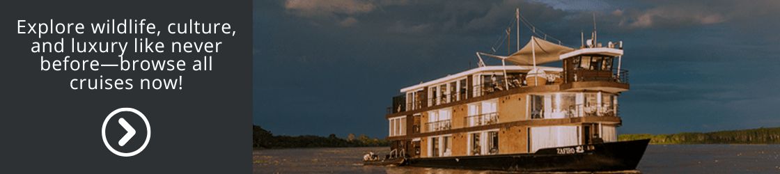 Luxury in the Wild With Us
