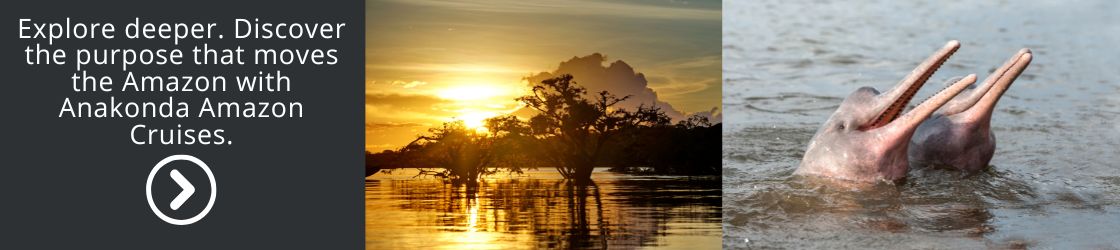 Discover the purpose that moves the Amazon with Anakonda Amazon Cruises