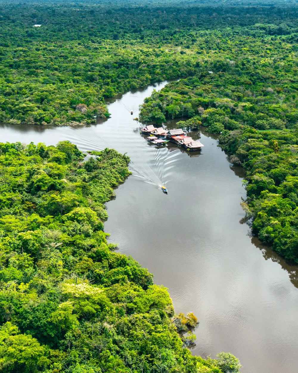 Pure Amazon: Low water season 4D/3N Experience, starting on Nauta Pure Amazon: Low water season 4D/3N Experience, starting on Nauta